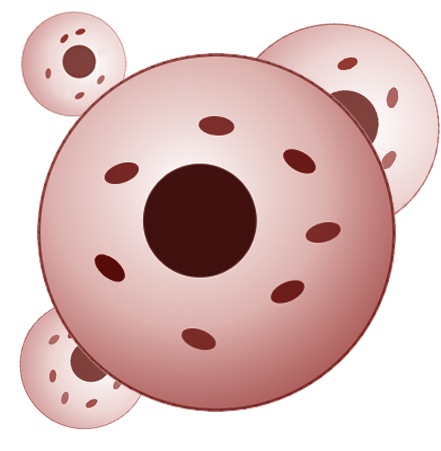 Benefits That Start at the Cellular Level