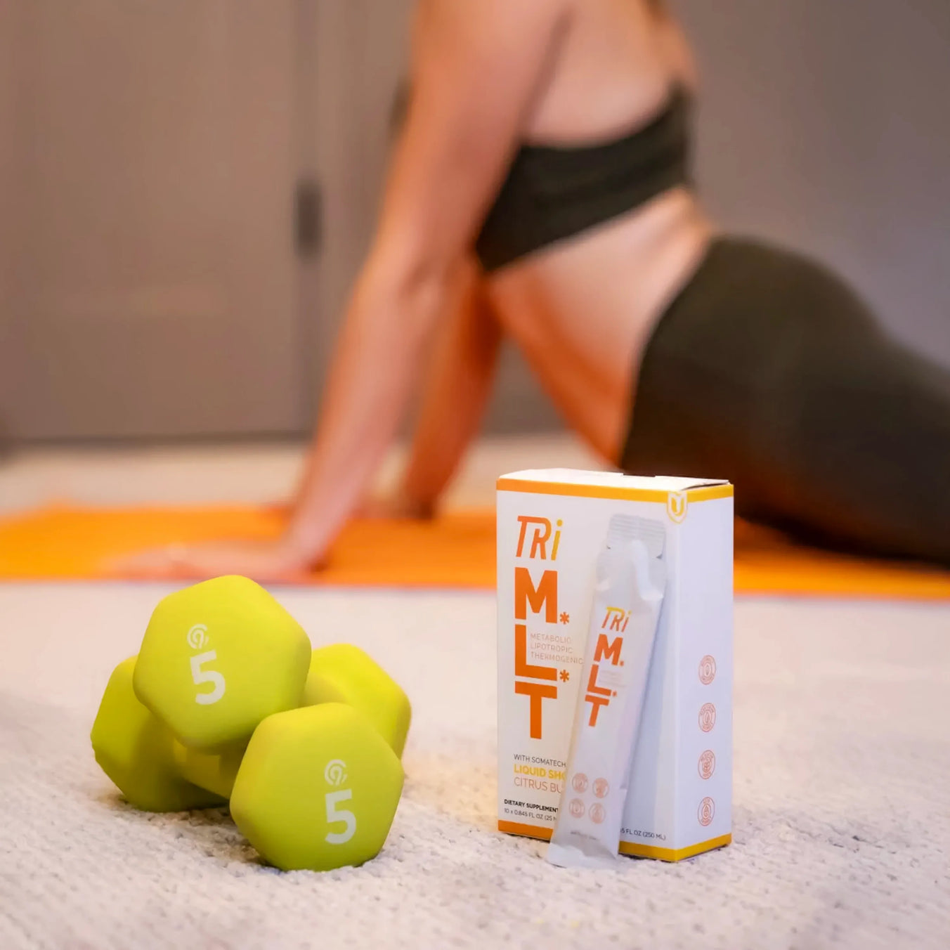 How TRi-MLT Supports Your Transformation
